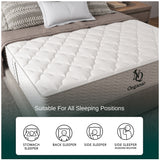 Organic Hybrid Plush Mattress